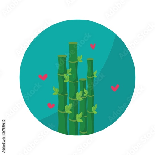 spa bamboo