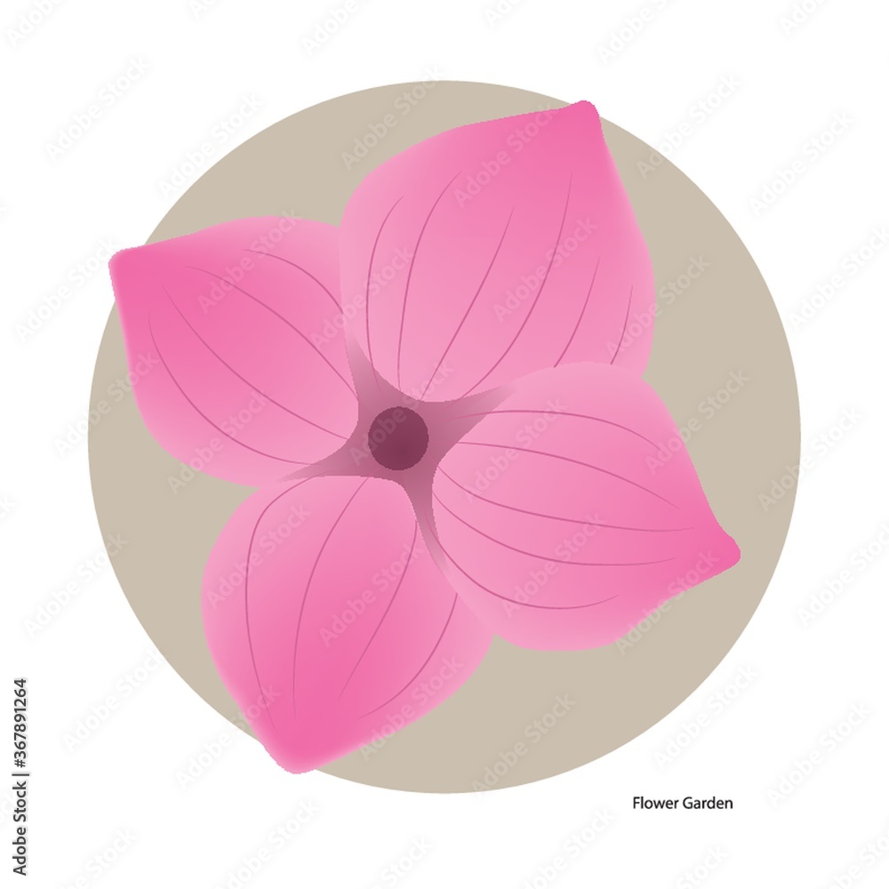 flower flower