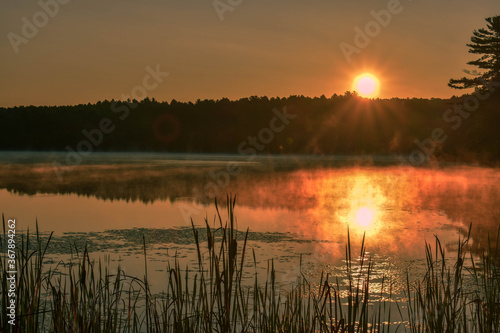 sunrise over the lake © Adebayo