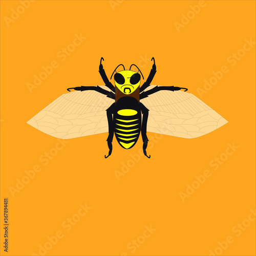 abeja macho el zángano