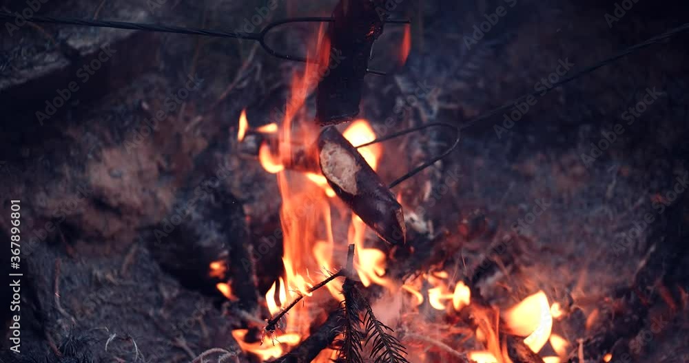 Grilling Sausages on Metal Stick at Campfire
