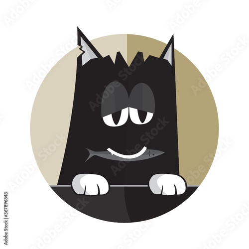 upset kitten
