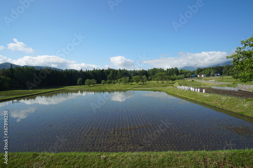 Spring has come in countryside of Japan, rice field Hakuba 