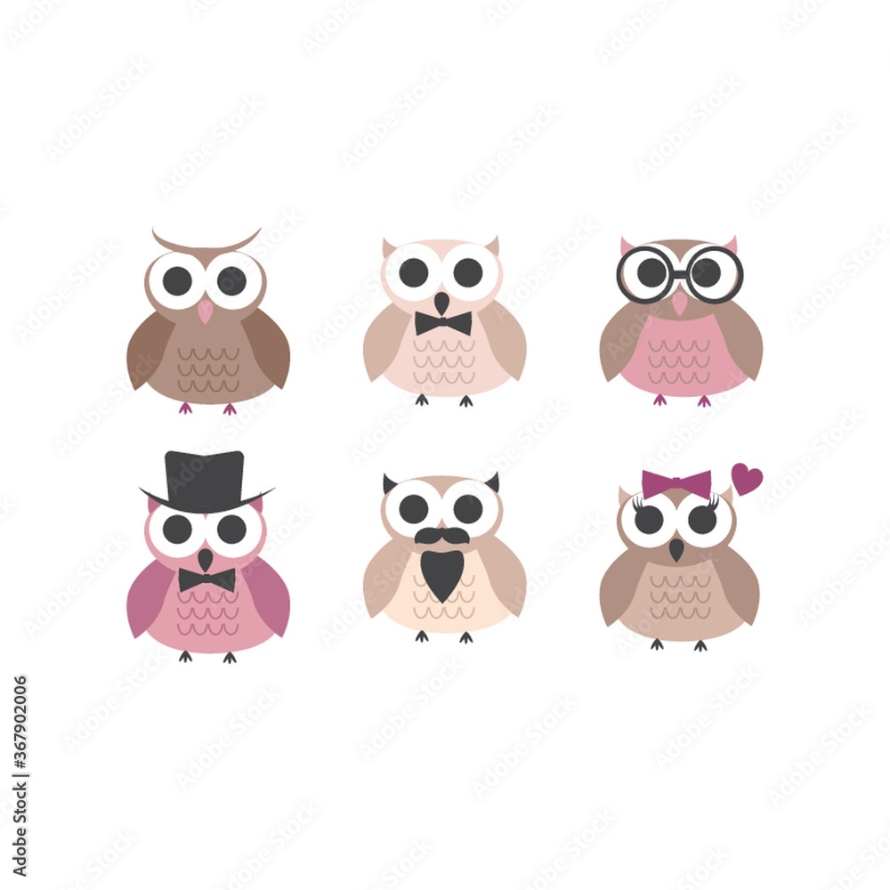 collection of owls