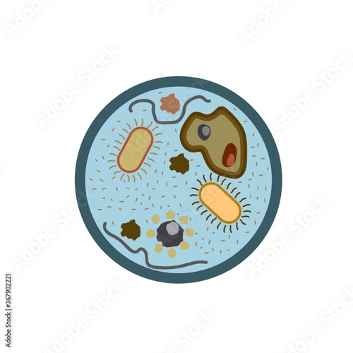 microorganisms