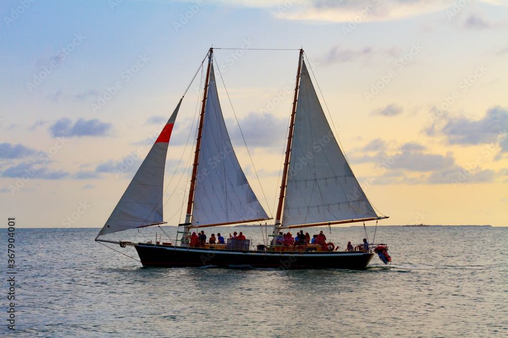 Fototapeta premium sunset sail on the ocean