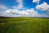 Summer natural landscape, meadow, field, hills. Beautiful blue sky with clouds.