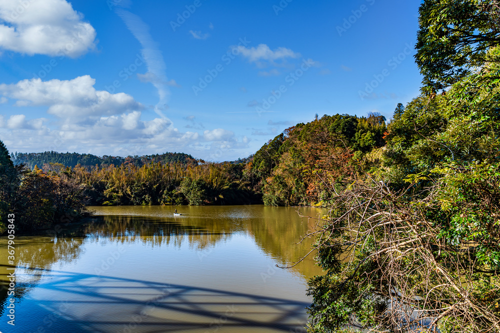 【千葉県 君津市】紅葉名所の亀山湖