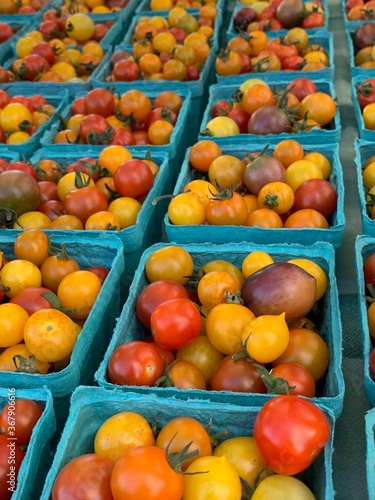 fresh vegetables in the market