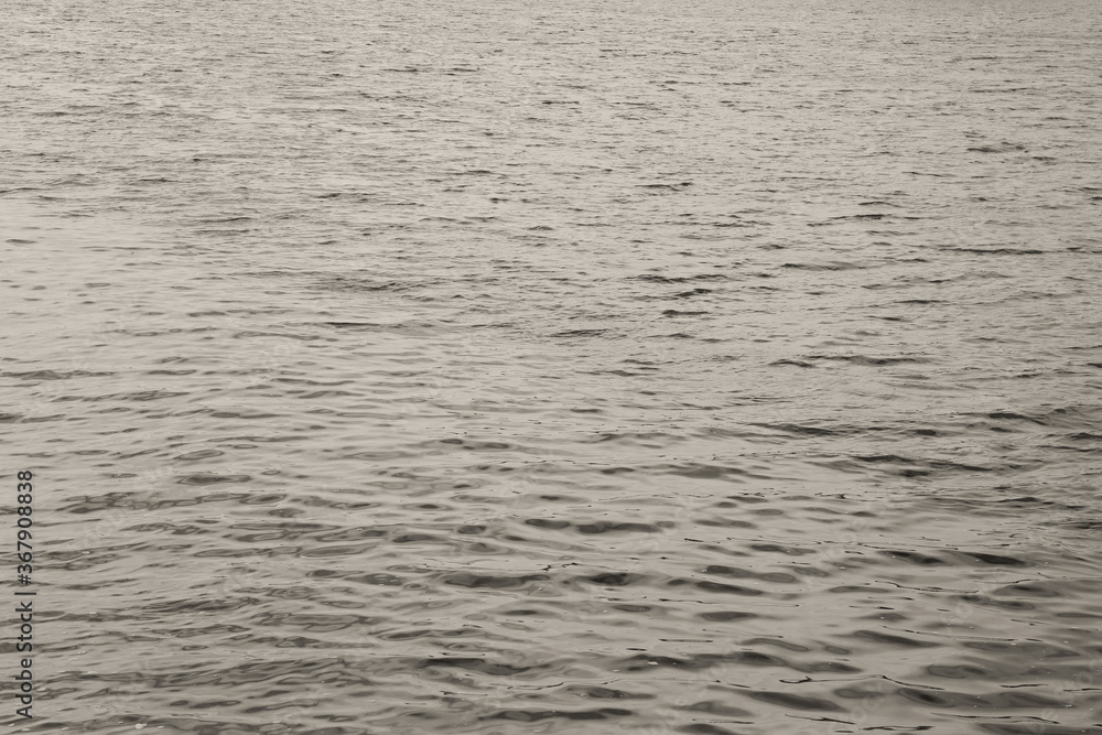 Fototapeta premium Monochrome water surface background. Calm water texture black and white image