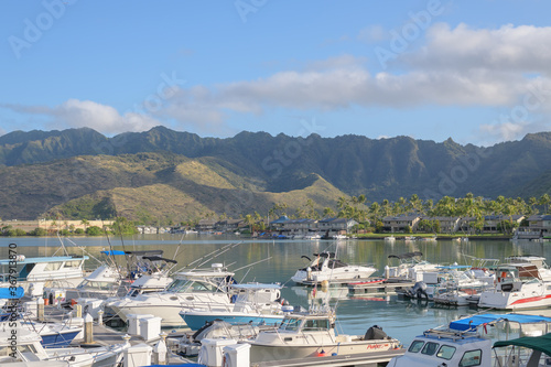 view of the harbor of KOKO MARINA
