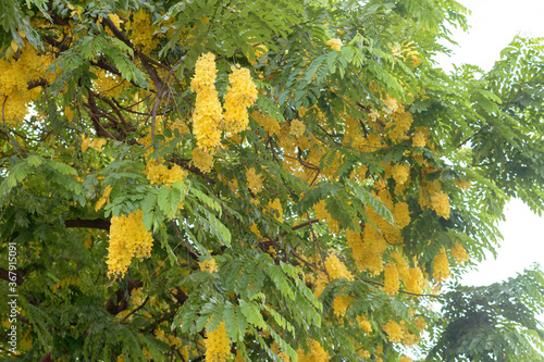 rainbow shower in hawaii