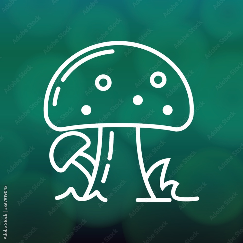 mushroom mushroom