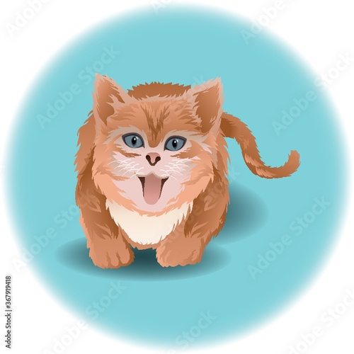 cat