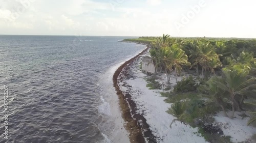 Wallpaper Mural DJI drone rapid fly over footage over Punta Allen Beach coastline Torontodigital.ca
