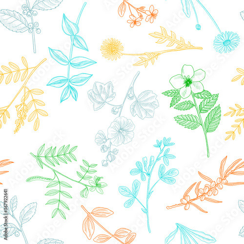 vector drawing floral vintage seamless pattern