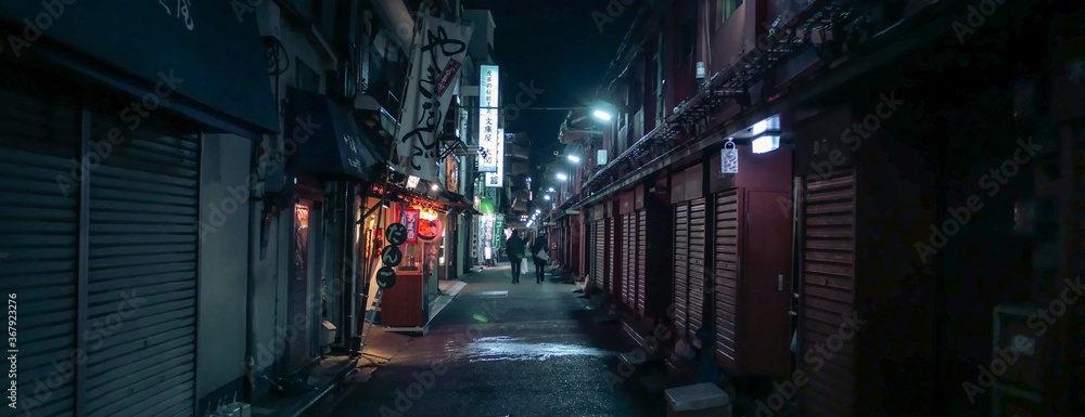 Fototapeta Asakusa by Night. Famous district of Tokyo shot late at night.