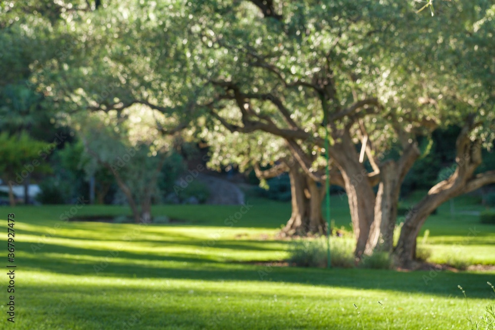 Formal garden.