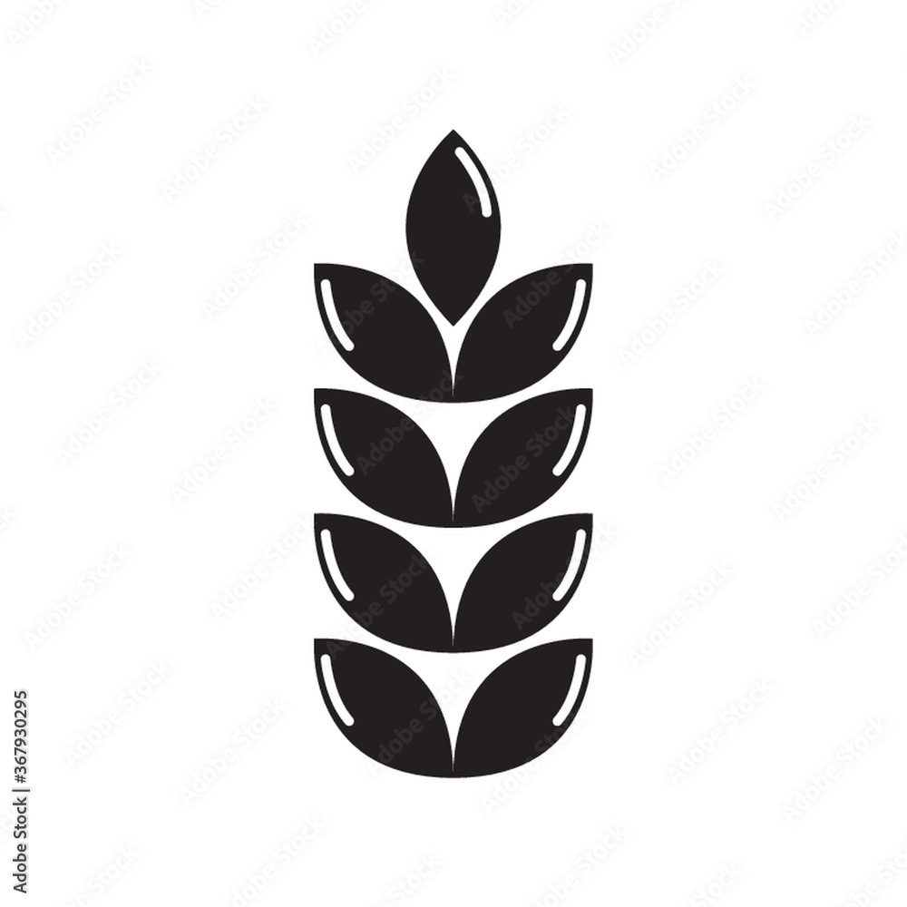 grains grains