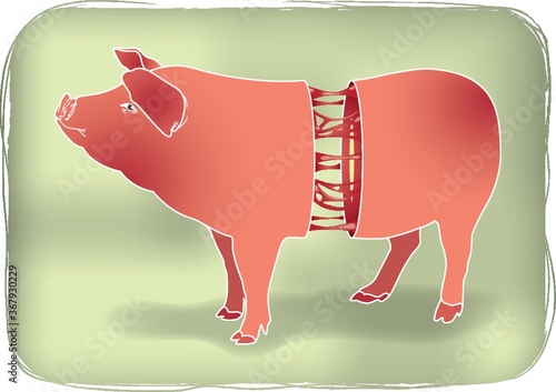pig
