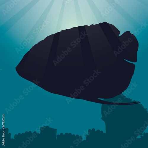 angelfish silhouette