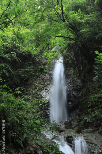 Hossawa Falls in Hinohara village ,japan,tokyo
