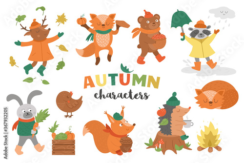 Set of vector autumn characters. Cute woodland animals collection. Fall season icons pack for prints, stickers.  Funny forest illustration of hedgehog, fox, bird, deer, rabbit, bear, squirrel. .