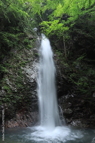 Hossawa Falls in Hinohara village   japan tokyo