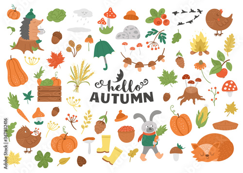 Big set of vector autumn clipart. Cute fall season icons pack for prints, stickers.  Funny illustration of forest animals, pumpkins, mushrooms, leaves, weather elements, harvest, vegetables, birds .