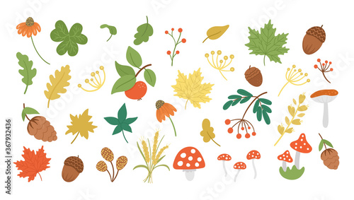 Vector set of cute autumn herbs, plants, flowers, berries. Flat style collection with leaves, apple, acorns, cones. Funny fall greenery illustration isolated on white background.