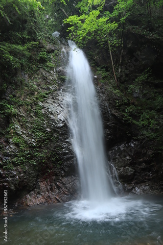 Fototapeta Naklejka Na Ścianę i Meble -  Hossawa Falls in Hinohara village  ,japan,tokyo