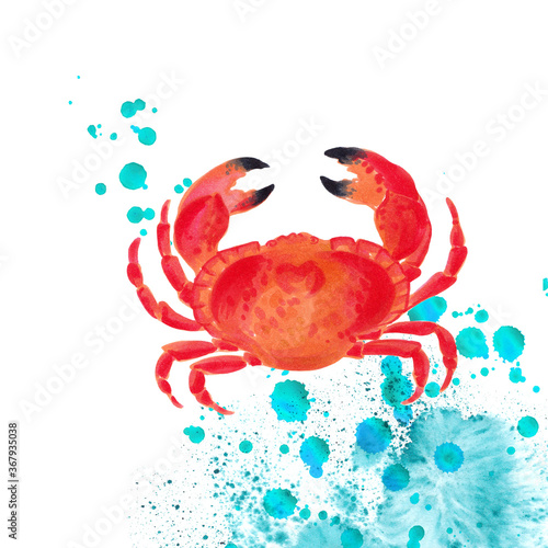 Watercolor red crab with water splash 