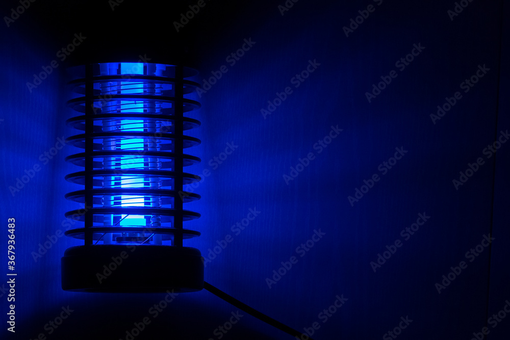 Fotografie The blue light night light is an insect killer.