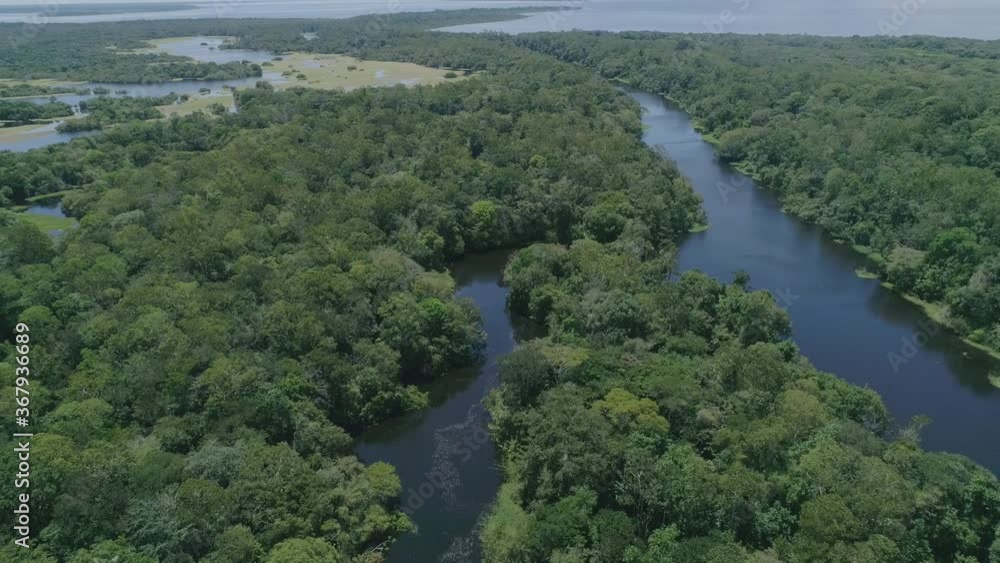 Aerial shot of a river in the Amazon Forest, a tributary of Amazon River Aerial shot of a river in the Amazon Forest, a tributary of Amazon River