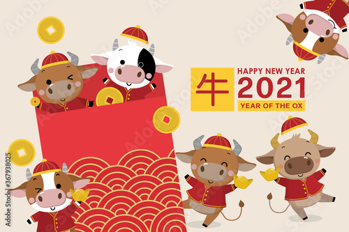 Happy Chinese new year greeting card. 2021 Ox zodiac. Cute cow in red costume and gold money. Animal holidays cartoon character. Translated: Ox. -Vector