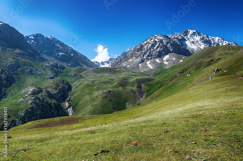 Idyllic summer landscape with hiking trail in the mountains with beautiful fresh green mountain pastures.