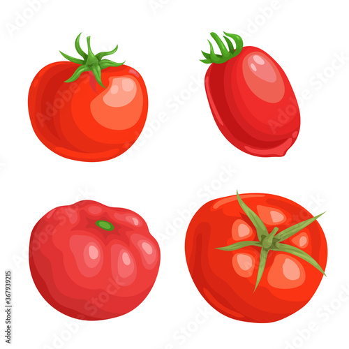 Cartoon different types tomatoes set. Red ripe vegetables isolated on white background. Vector illustrations.