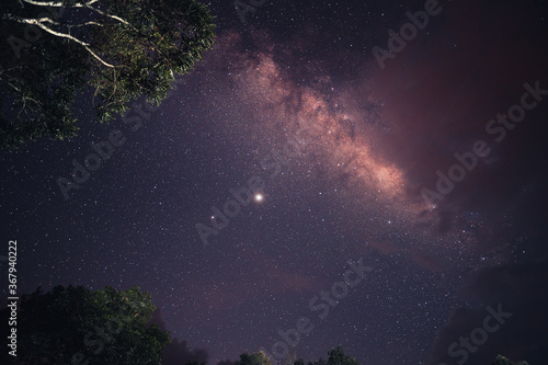 Galaxies and stars Milky Way In the night sky In the forest