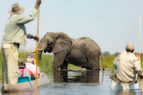 Canvas Print Exiting the Okavango Delta in Botswana  by mokoro