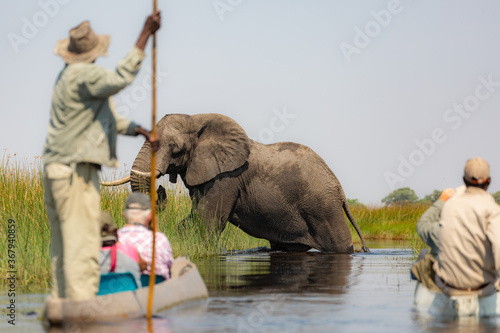 Exiting the Okavango Delta in Botswana  by mokoro  photo