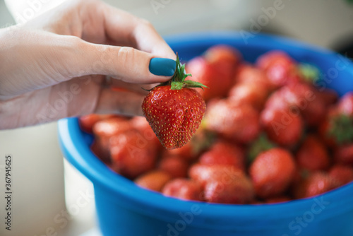 A bucket of ripe delicious ...