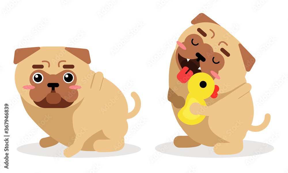 Fototapeta premium Cute Pug Hanging out Tongue and Sitting Vector Set