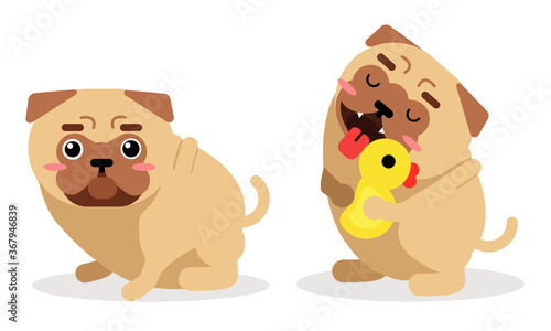Cute Pug Hanging out Tongue and Sitting Vector Set