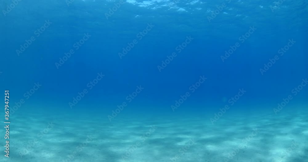 sun shine beams and rays on sea floor underwater slow motion fish around sun shine beams and rays on sea floor underwater slow motion fish around