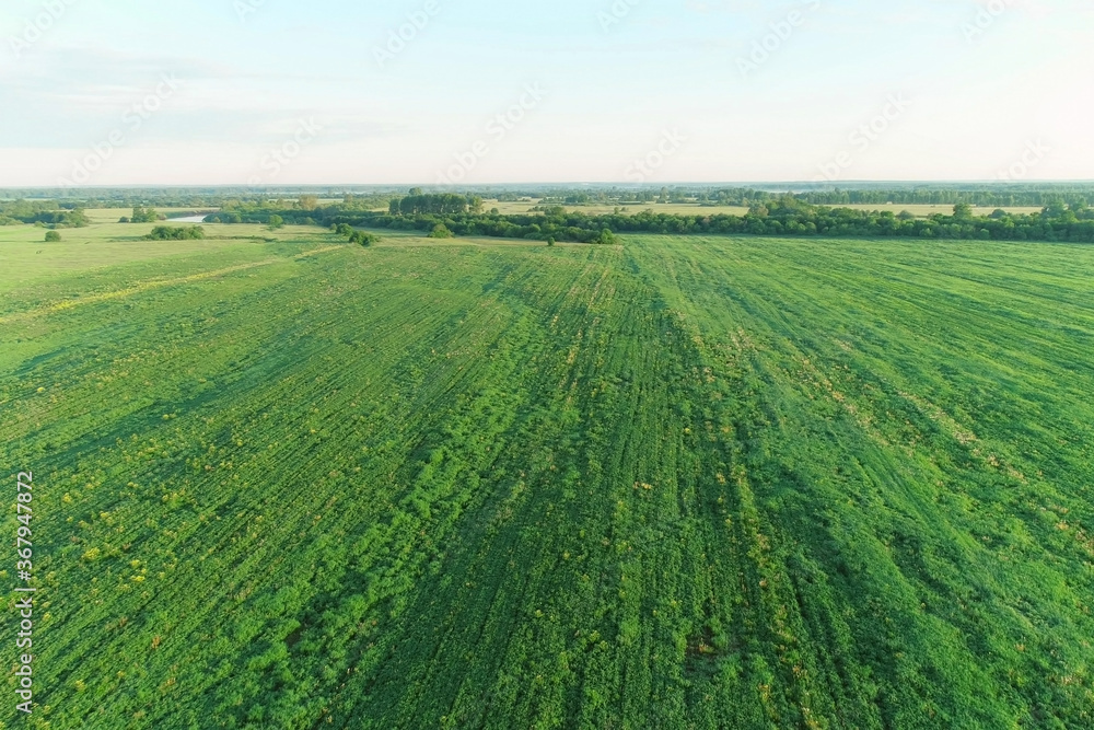 Flying over green fields and forest at summer sunny day in beautiful place. Aerial view on meadow with fresh grass. Background with natural landscape and woodland. Flying over green fields and forest at summer sunny day in beautiful place. Aerial view on meadow with fresh grass. Background with natural landscape and woodland.