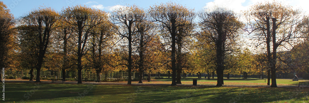 Denmark Copenhagen park row of trees Denmark Copenhagen park row of trees
