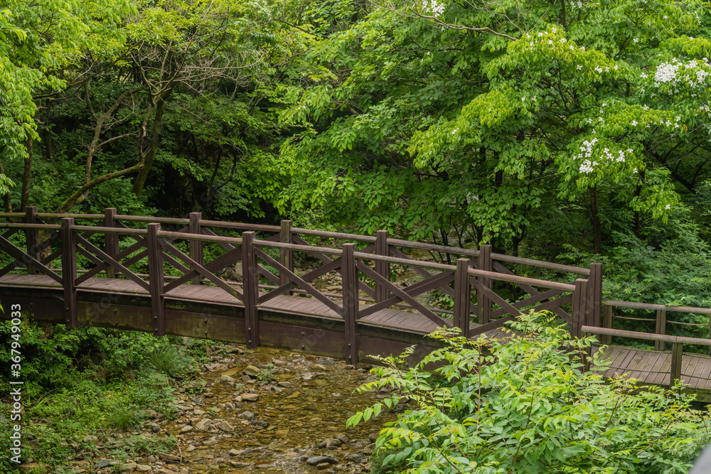 Wooden footbridge over small stream Wooden footbridge over small stream