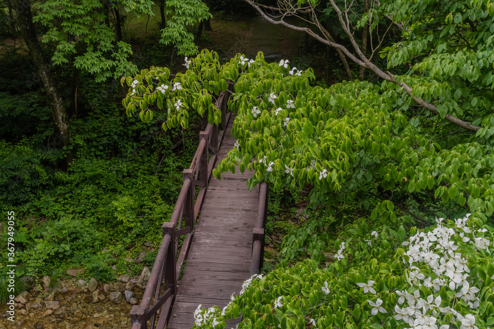 Looking down on small wooden footbridge