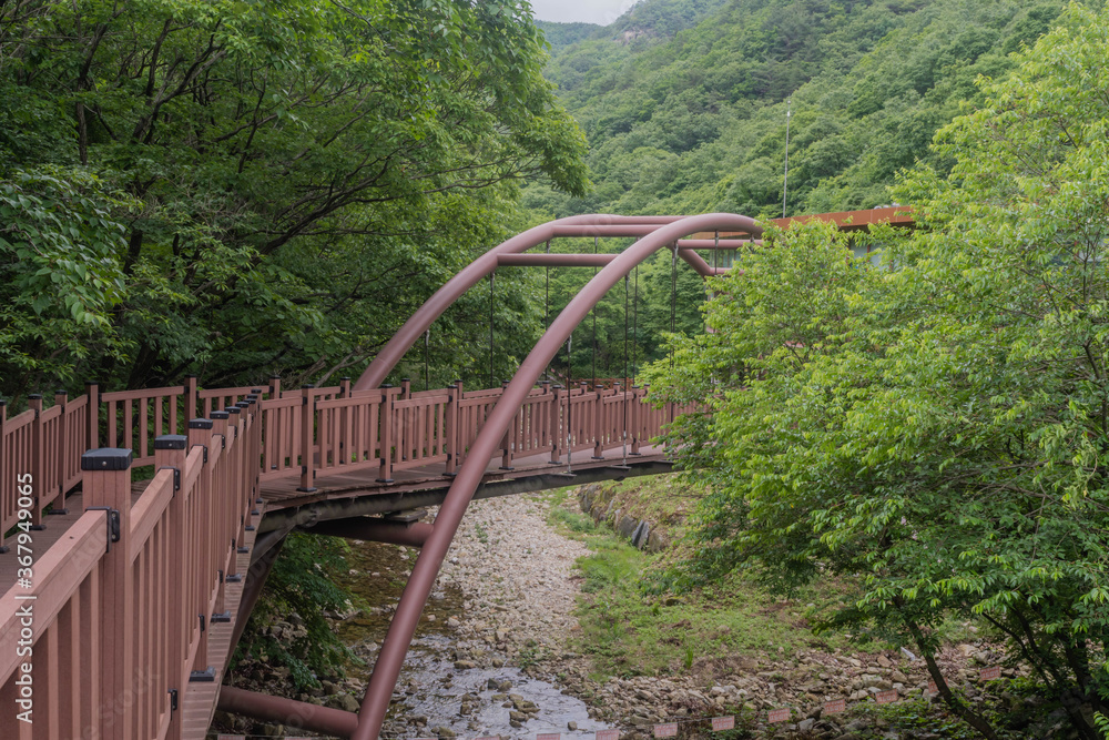 Arched pedestrian bridge and boardwalk in park. Arched pedestrian bridge and boardwalk in park.