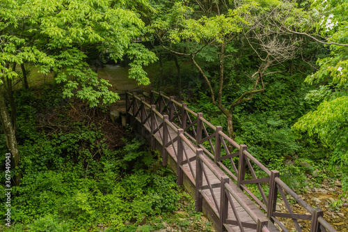 Wooden footbridge over small stream